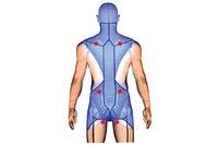 immagine corso 10 marzo 2012 200x133